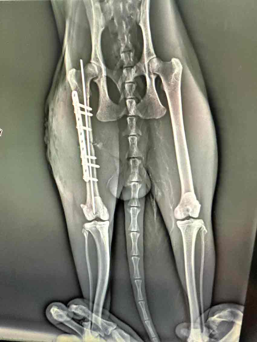 Whats App Image 2025 05 25 At 12.50.21