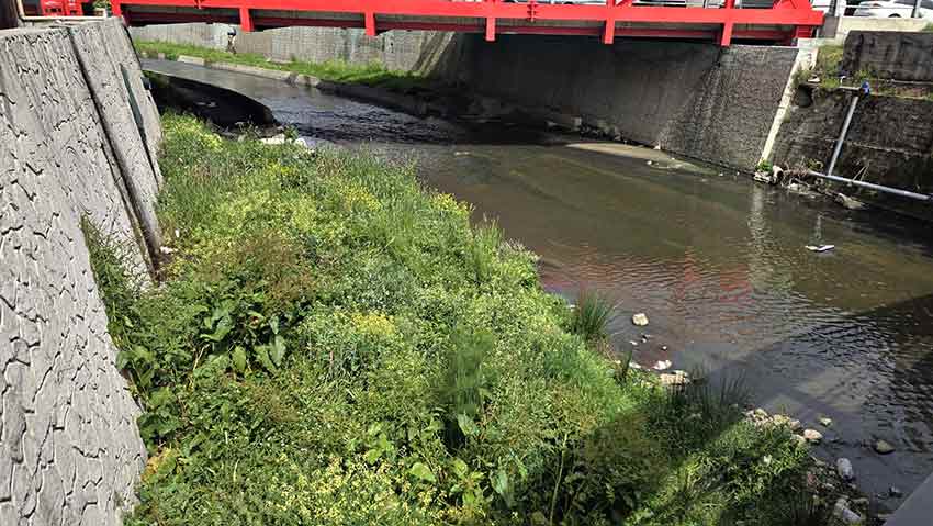 Whats App Image 2025 05 26 At 11.25.35