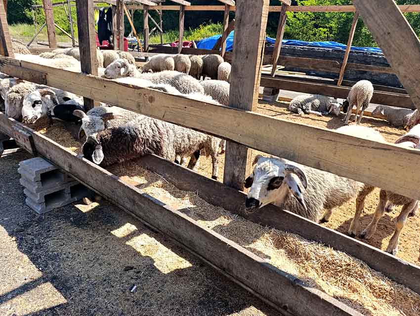 Whats App Image 2025 05 28 At 12.22.11