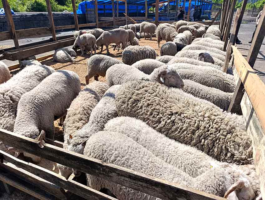 Whats App Image 2025 05 28 At 12.22.16