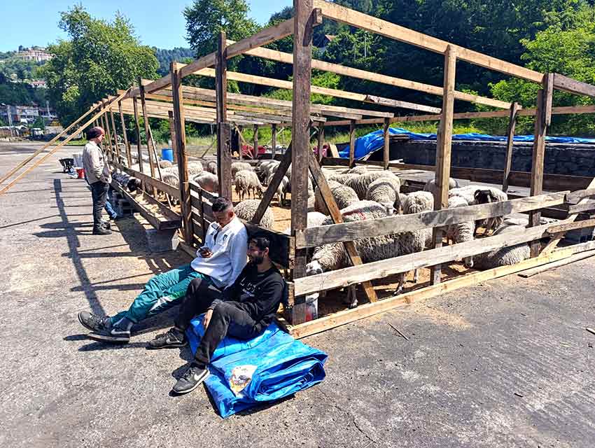 Whats App Image 2025 05 28 At 12.22.27