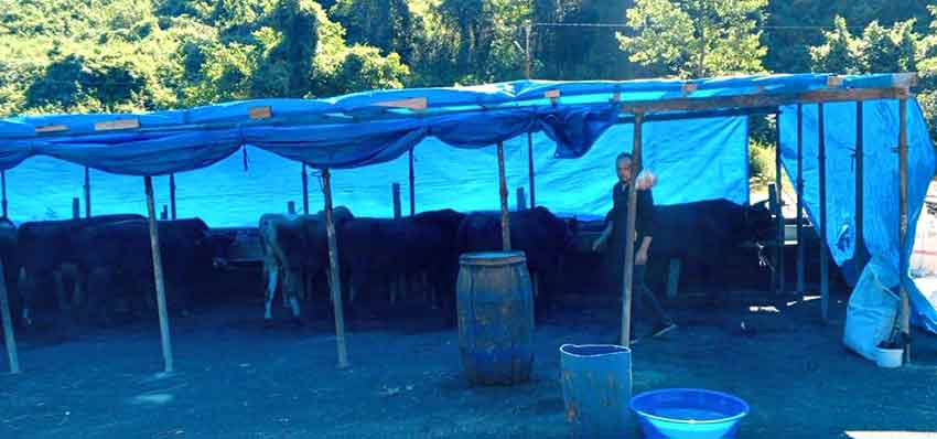 Whats App Image 2025 05 30 At 10.50.55