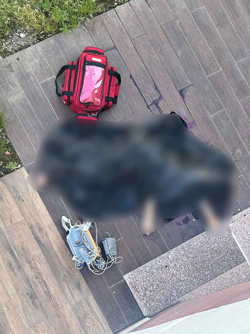 Whats App Image 2025 05 30 At 10.58.01-1