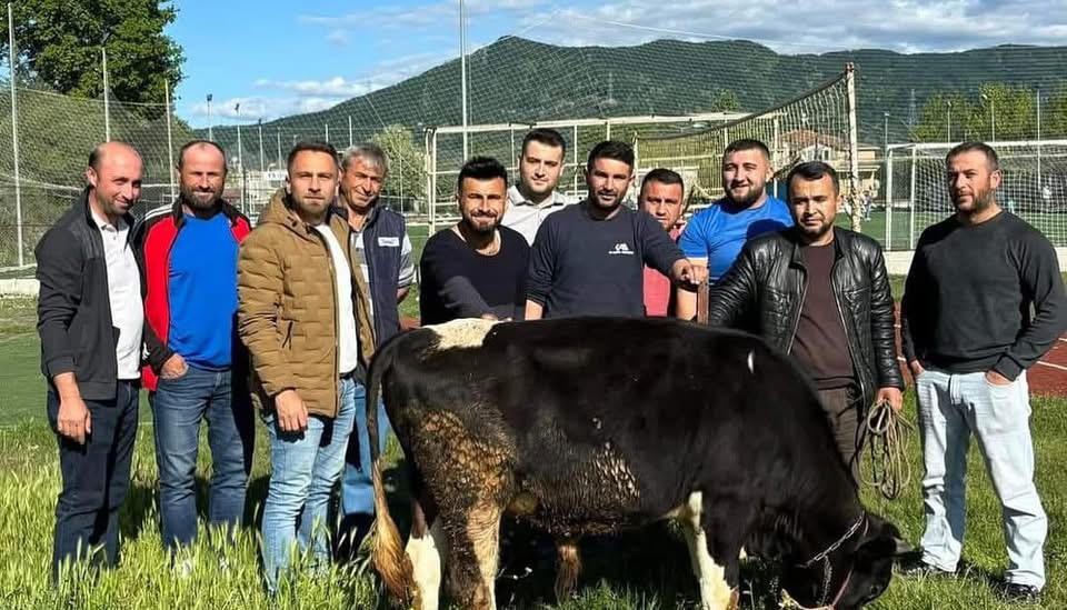 Whatsapp Image 2025 05 07 At 11.15.20 (1)