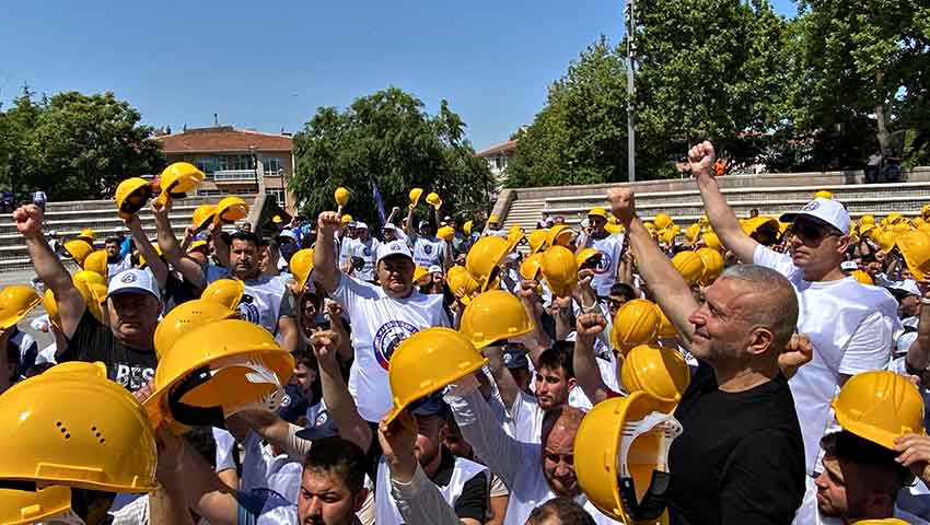 508544480 726045166844202 3964001153365220319 N