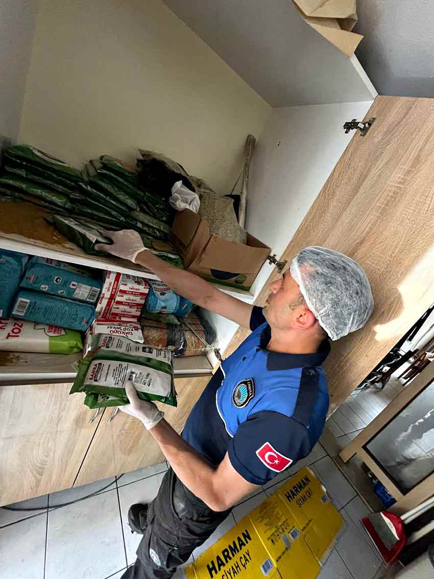 508696083 1129737969186996 4715912675761397155 N