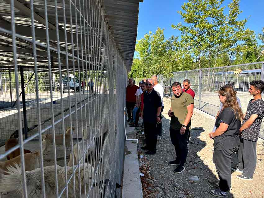 511102675 1199464738875312 4973012623318673308 N