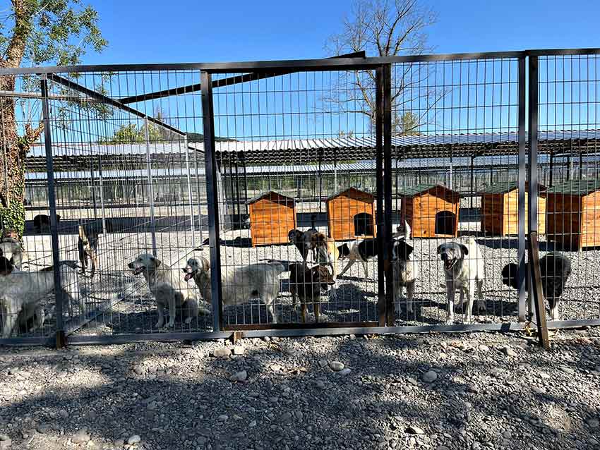 511179039 1199464845541968 3562881613653744153 N