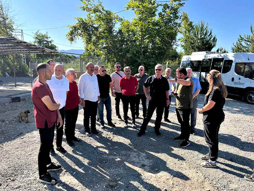 511266956 1199464758875310 310256044067782746 N