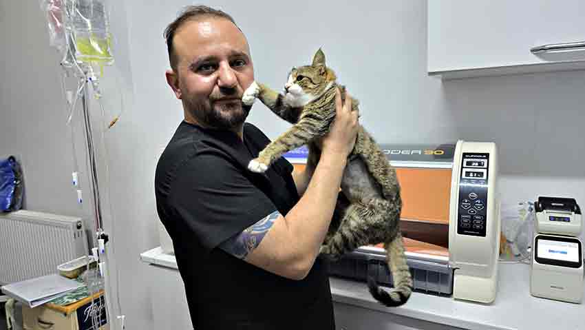 9D2Bd700 Fd8C 43D4 B121 8Fc8Af633A8D