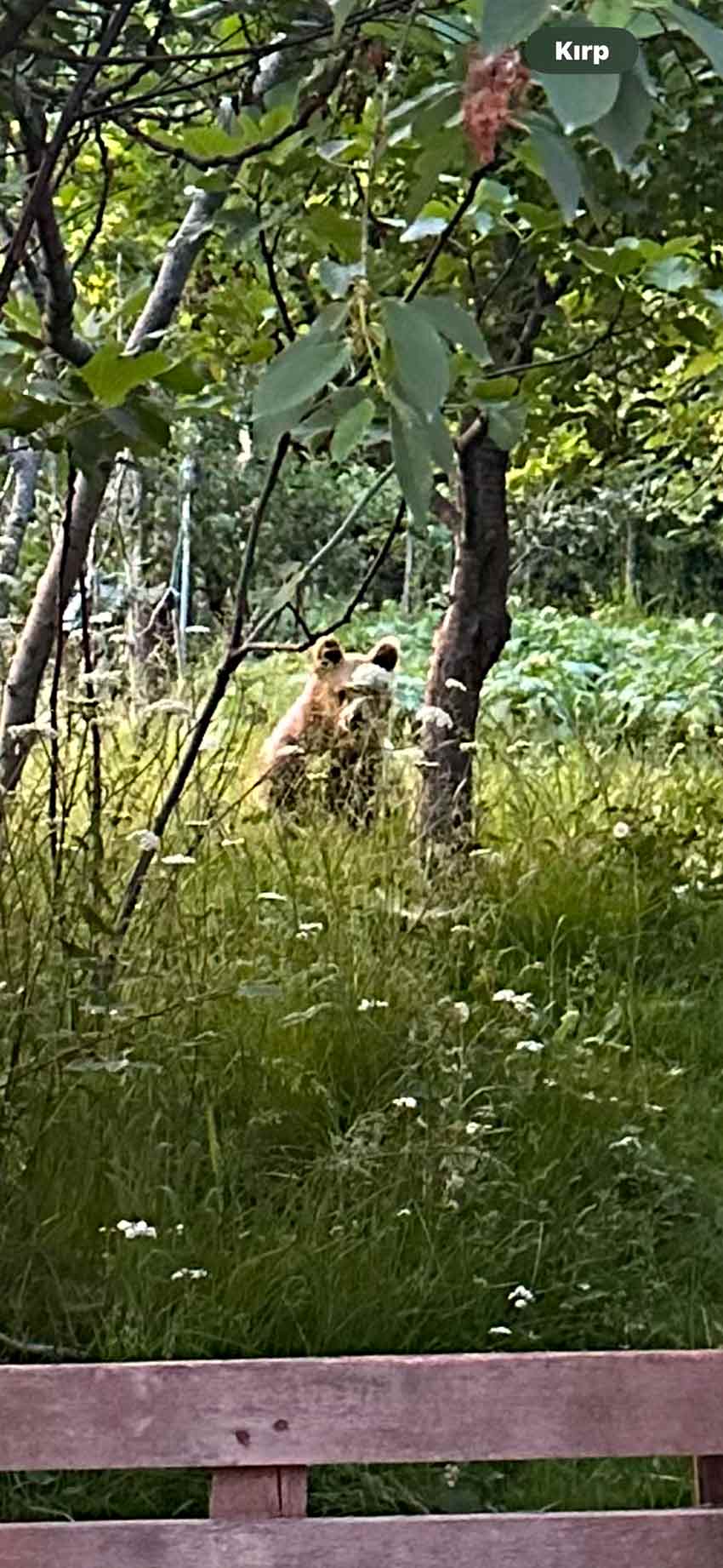 B A R T I N D A B A H C E Y E G E L E N A Y I G O R U N T U L E N D I 755535 222999