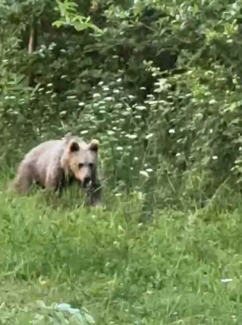 B A R T I N D A B A H C E Y E G E L E N A Y I G O R U N T U L E N D I 755536 222999