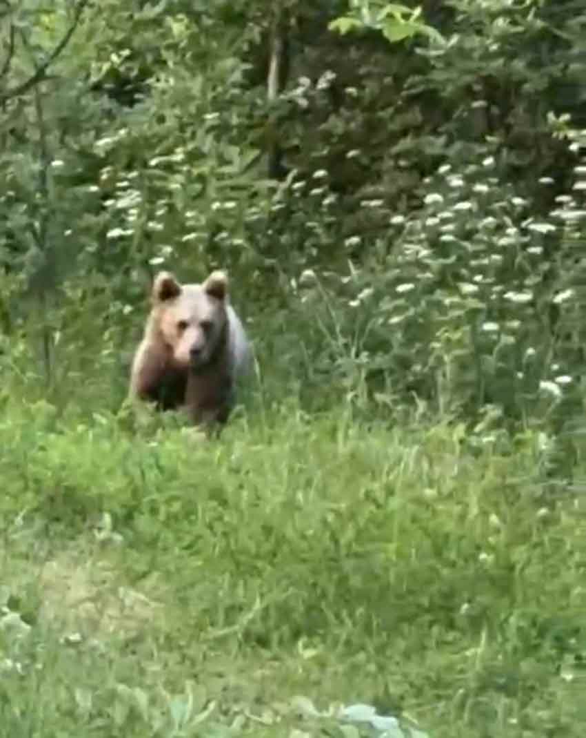 B A R T I N D A B A H C E Y E G E L E N A Y I G O R U N T U L E N D I 755538 222999