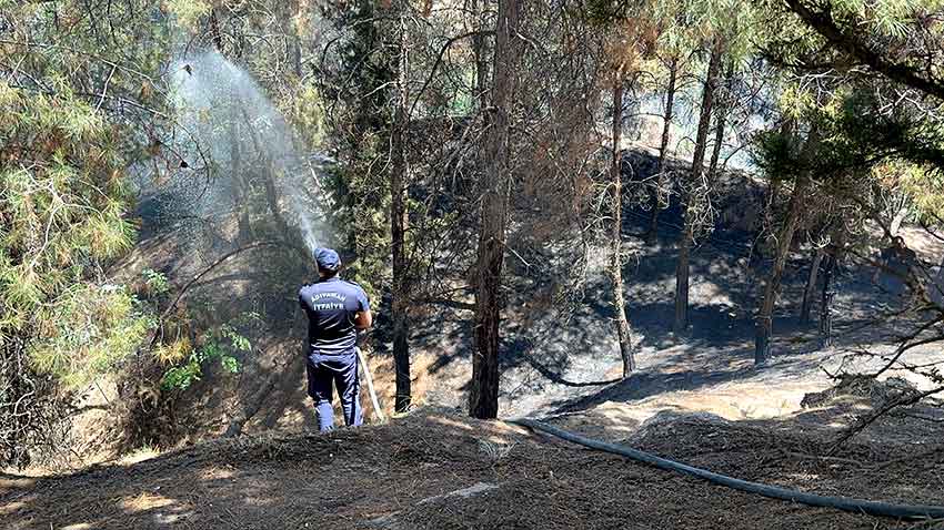 Çakmakla Oyun Ormanı Yaktı (2)