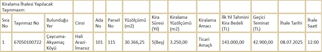 Ki̇ralama İhalesi̇