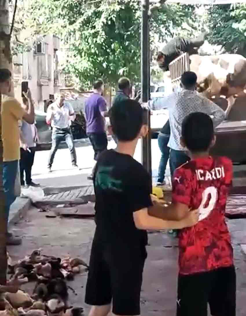 Kurbanlık Boğa Kasabı Öldürüyordu (1)