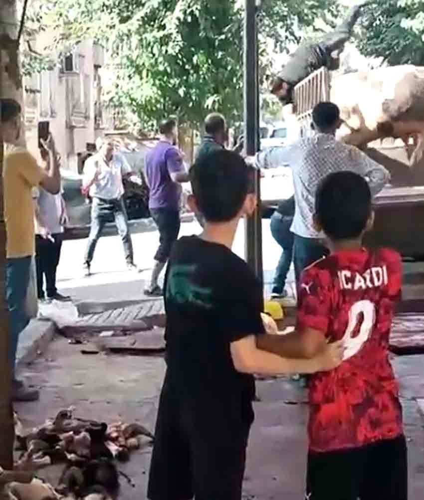 Kurbanlık Boğa Kasabı Öldürüyordu (4)