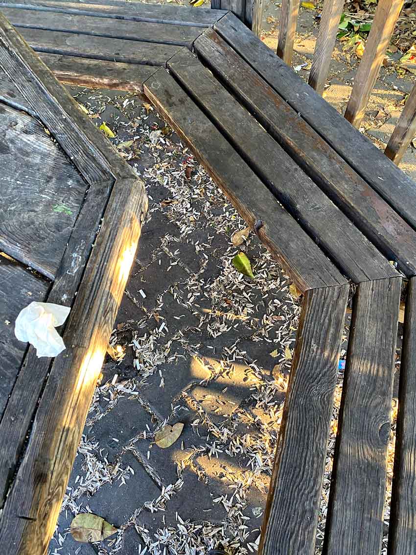 Patkta Çöp Rezaleti (5)