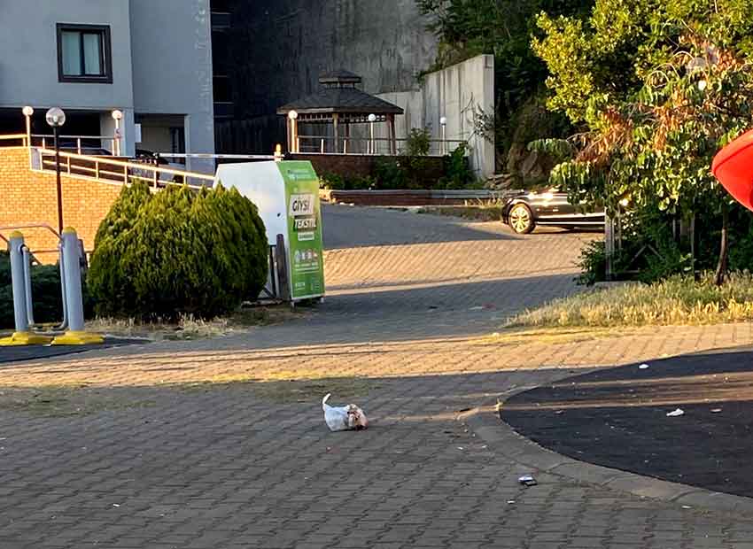 Patkta Çöp Rezaleti (6)