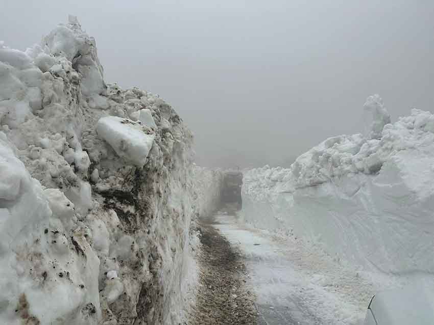 Rizede Karla Mücadele (2)