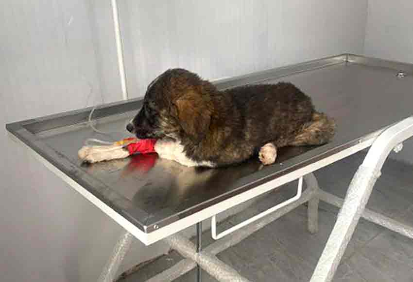 Whats App Image 2025 06 01 At 11.24.02 (2)