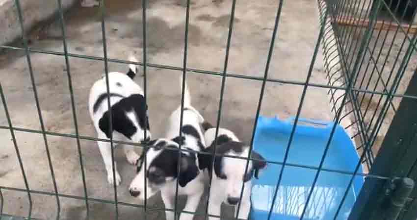 Whats App Image 2025 06 01 At 11.24.02