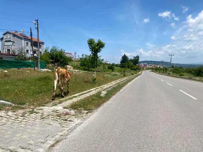 Whats App Image 2025 06 02 At 14.55.12