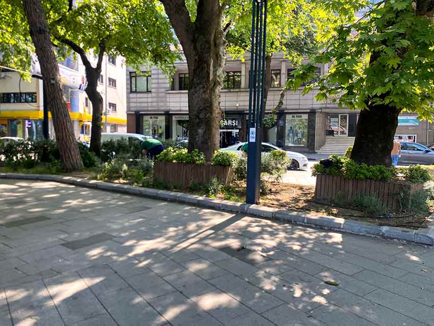 Whats App Image 2025 06 03 At 12.06.31