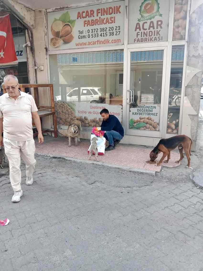 Whats App Image 2025 06 04 At 13.06.43