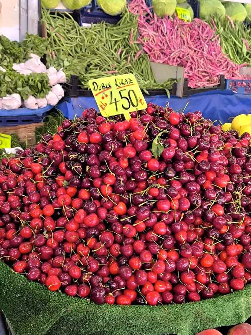 Whats App Image 2025 06 11 At 13.48.26