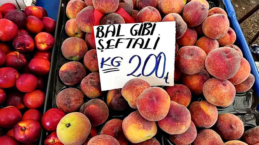 Whats App Image 2025 06 12 At 12.38.40 (1)