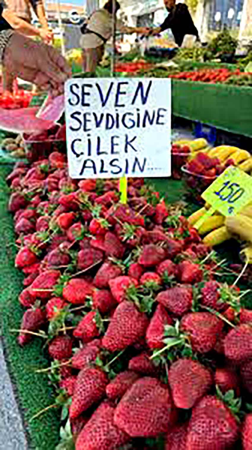 Whats App Image 2025 06 12 At 12.38.41