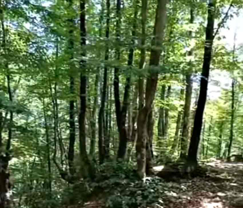 Whats App Image 2025 06 14 At 14.06.46