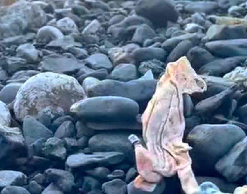 Whats App Image 2025 06 14 At 14.56.56