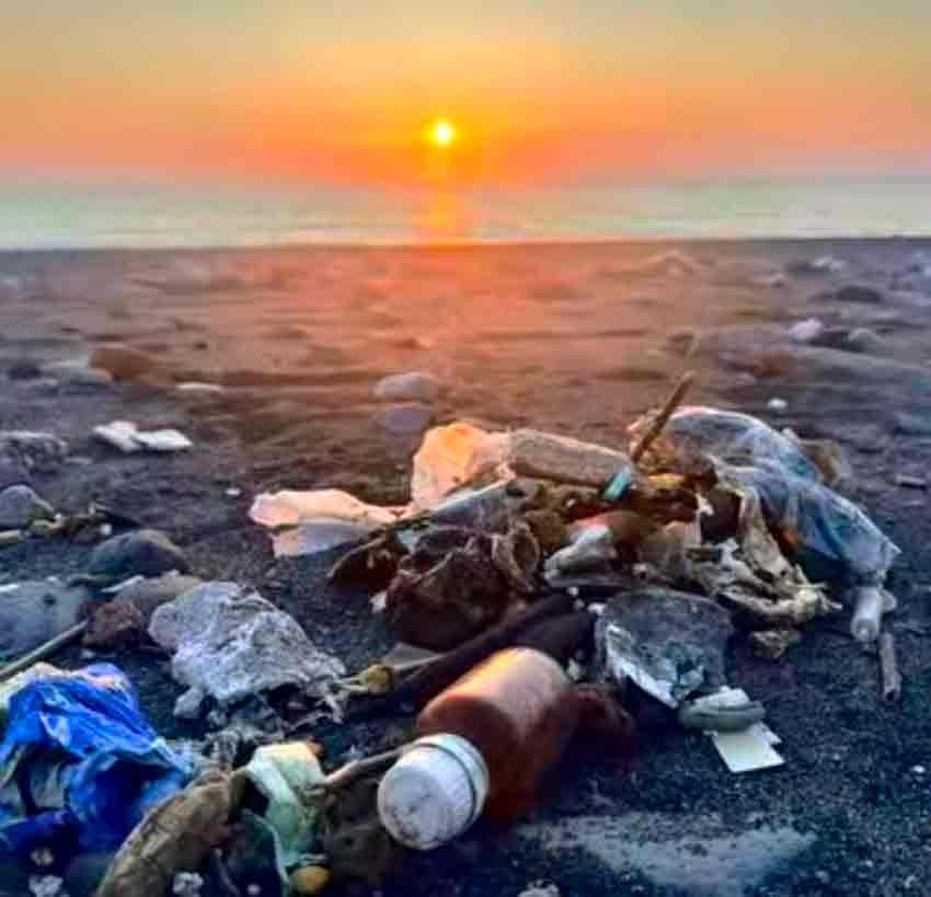 Whats App Image 2025 06 14 At 14.56.57 (2)