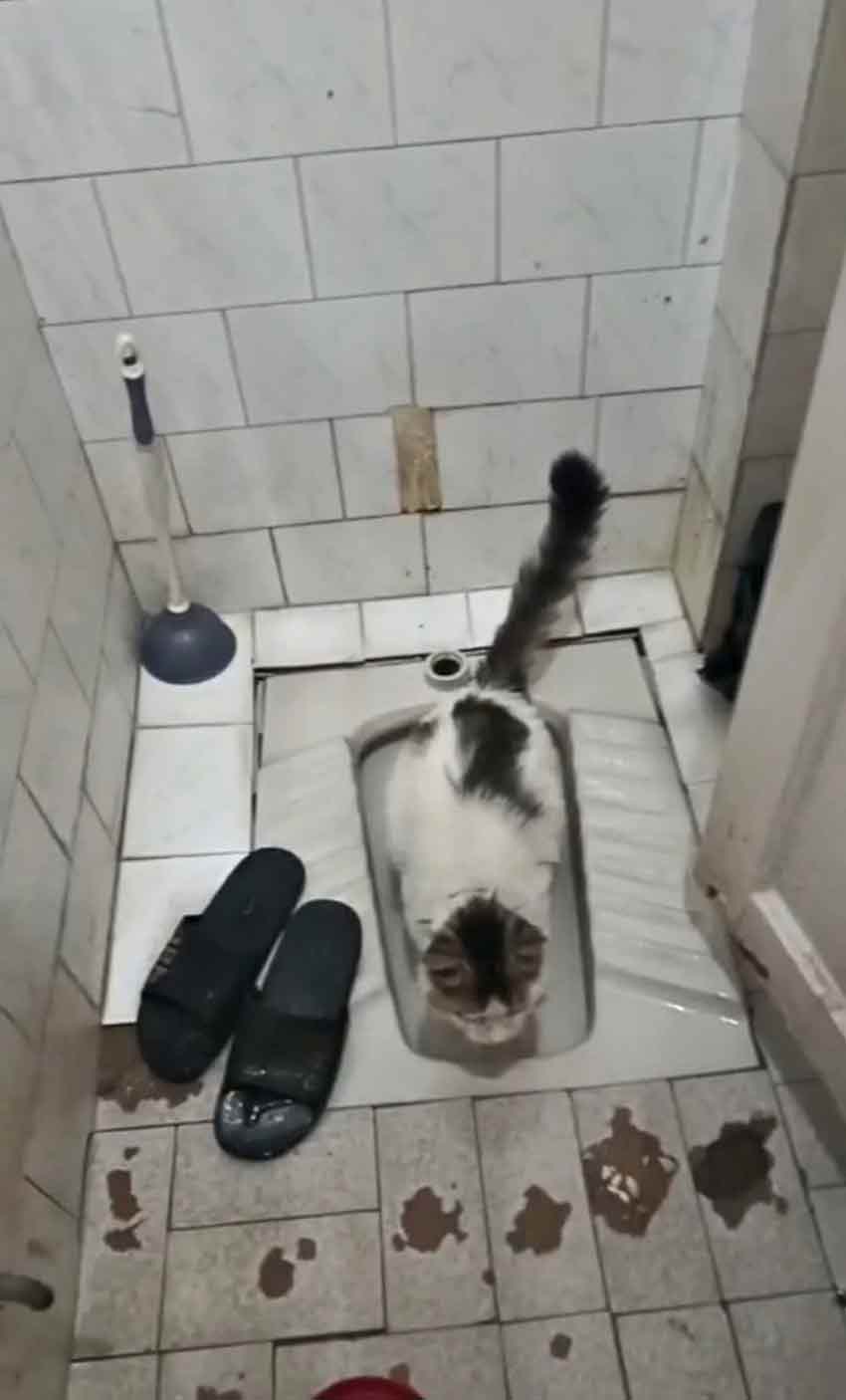 Whats App Image 2025 06 16 At 12.23.39 (1)