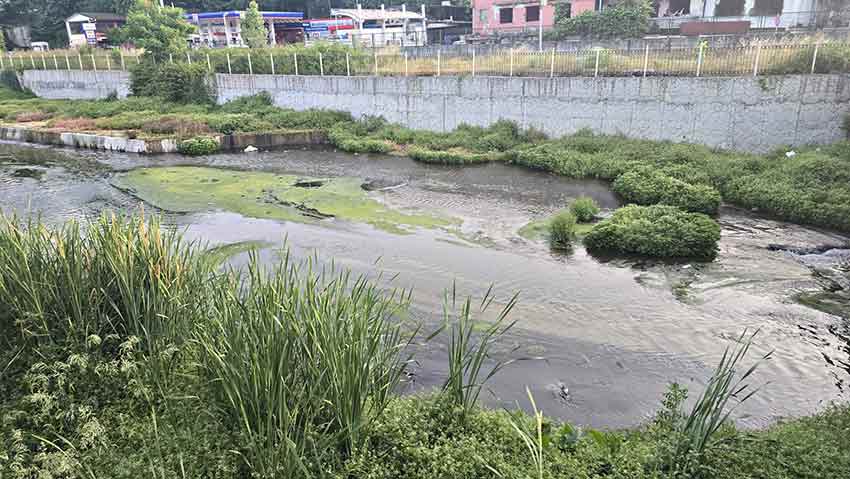 Whats App Image 2025 06 19 At 09.29.26 (1)