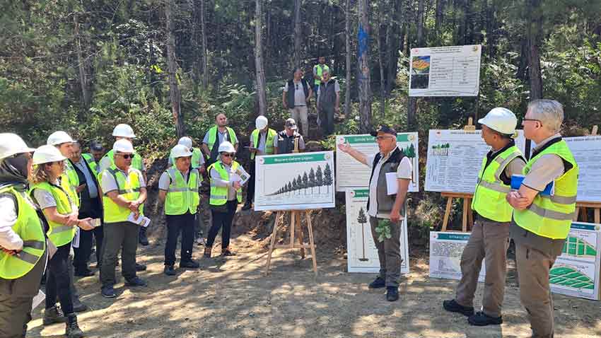 Whats App Image 2025 06 19 At 11.46.20