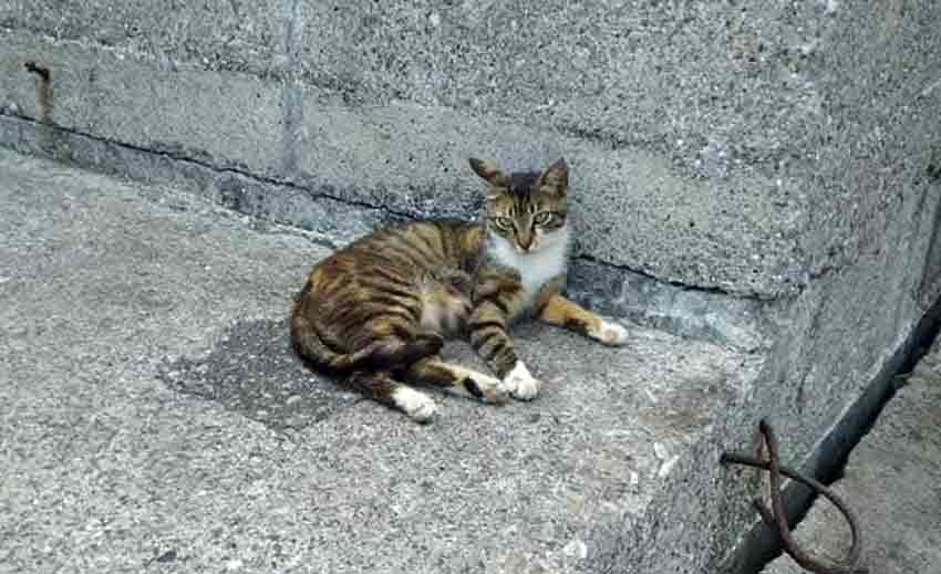 Whats App Image 2025 06 22 At 12.30.39 (1)