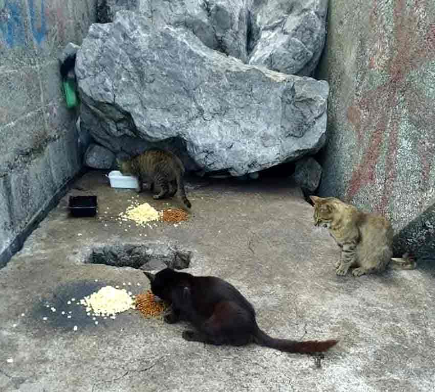 Whats App Image 2025 06 22 At 12.30.39