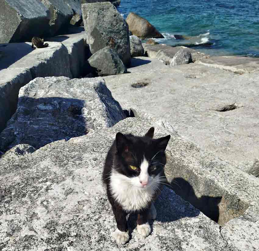 Whats App Image 2025 06 22 At 13.01.07