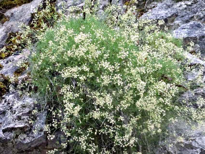 Whats App Image 2025 06 23 At 13.00.31