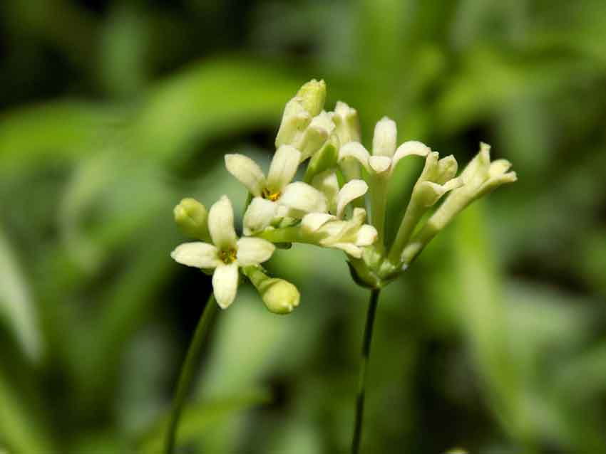 Whats App Image 2025 06 23 At 13.00.32