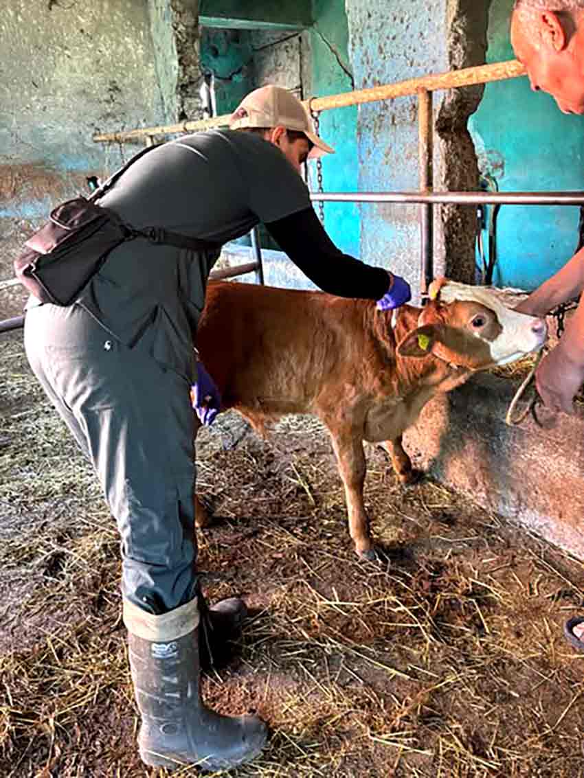 Whats App Image 2025 06 23 At 21.03.40