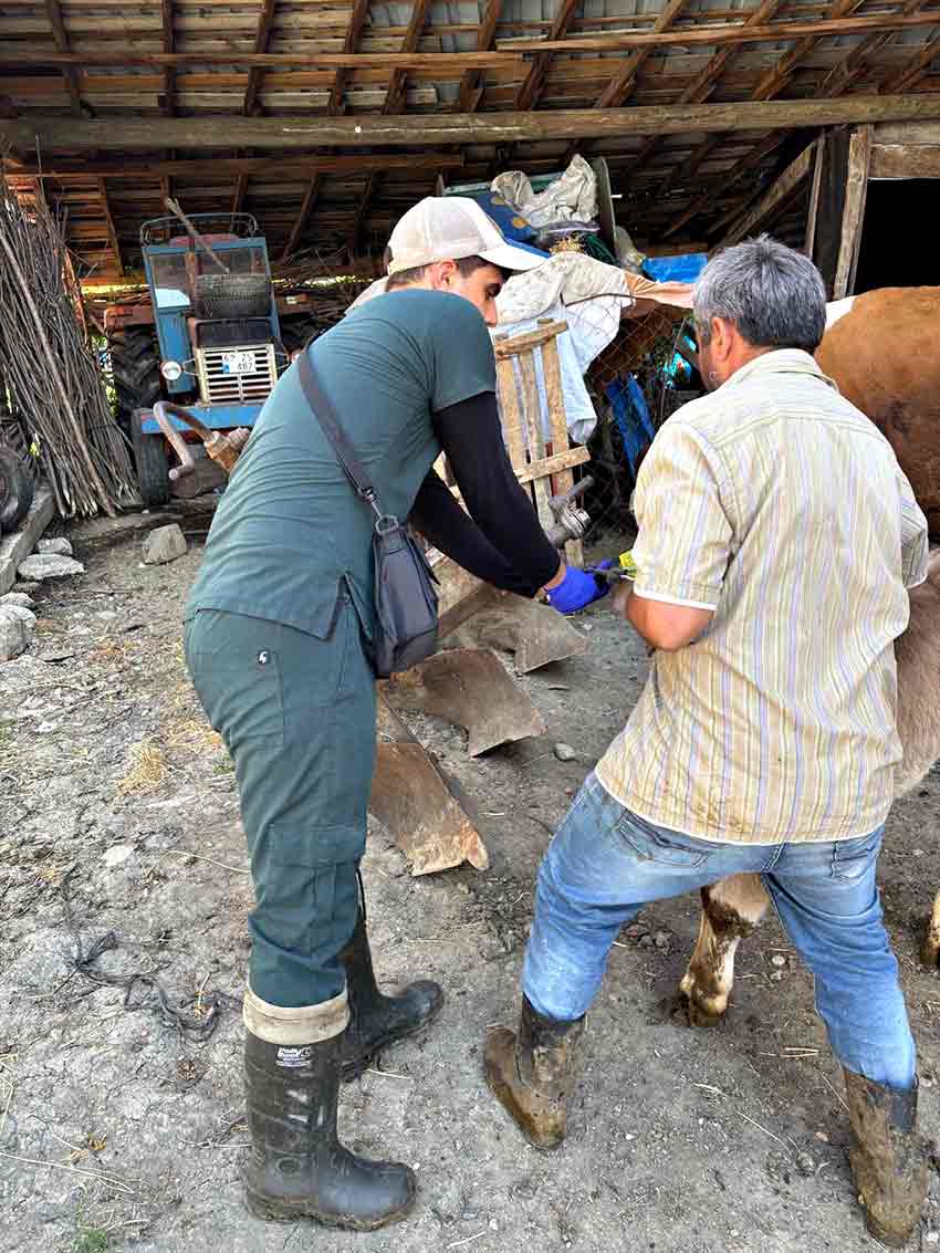 Whats App Image 2025 06 23 At 21.03.42