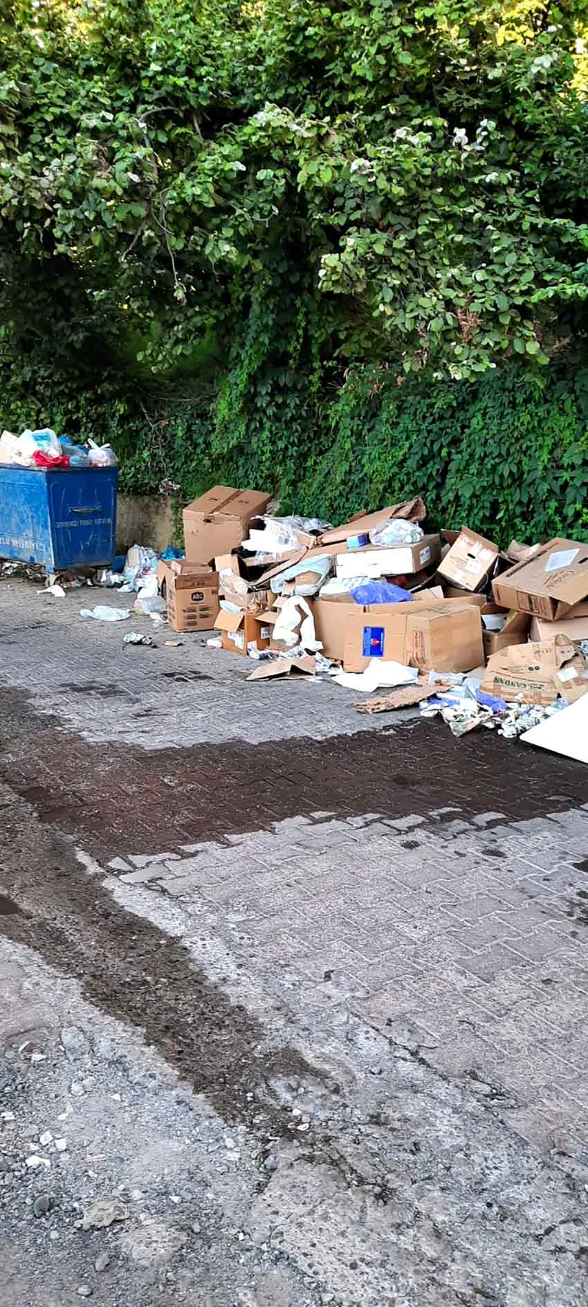 Whats App Image 2025 06 27 At 12.32.39