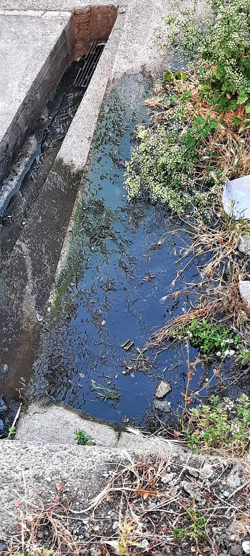 Whats App Image 2025 06 27 At 12.32.40 (1)