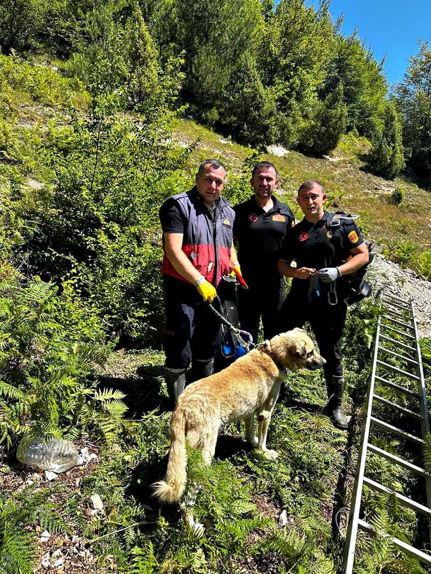 Whats App Image 2025 06 27 At 12.52.08