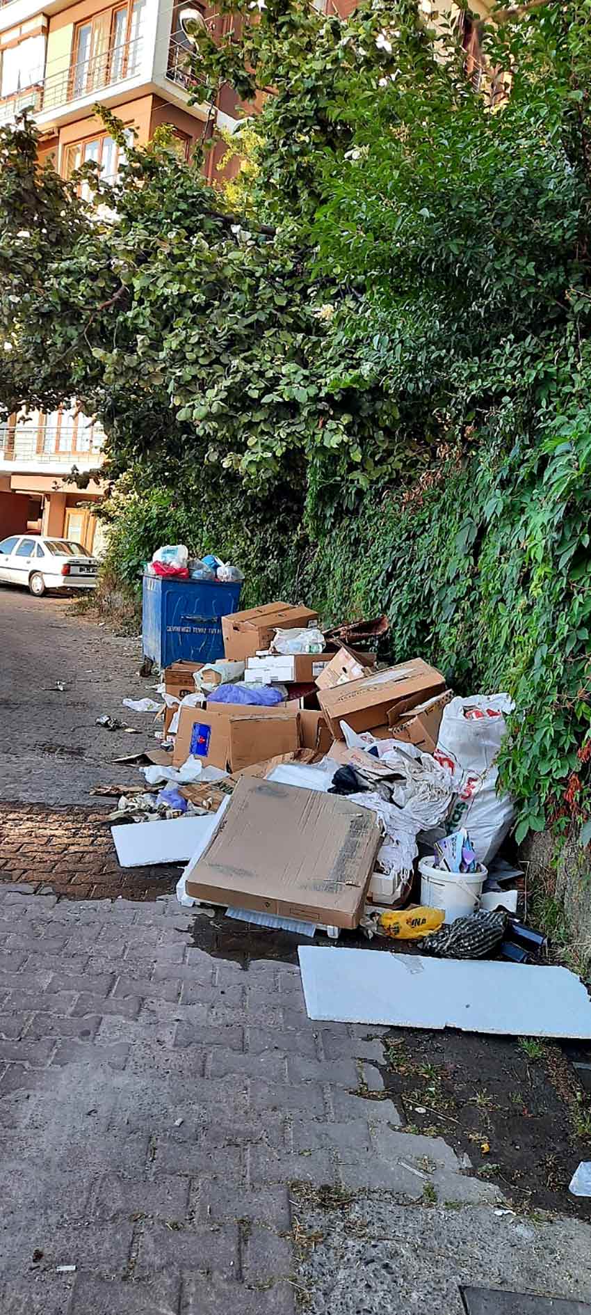 Whats App Image 2025 06 28 At 10.07.20