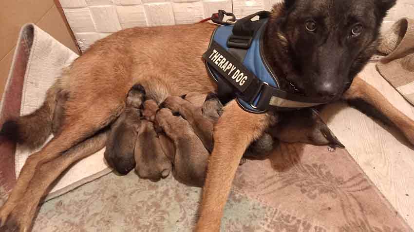 Whats App Image 2025 06 28 At 11.32.05